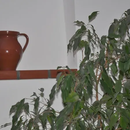 Hathaz Apartman Διαμέρισμα